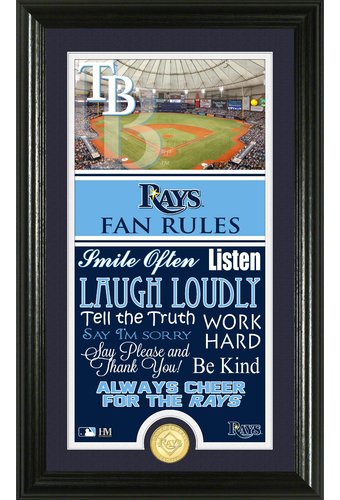 Tampa Bay Rays Fan Rules Supreme Bronze Coin