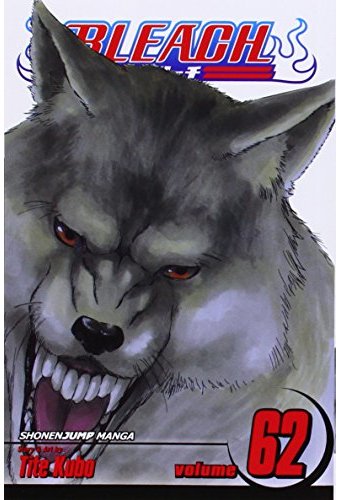Bleach 62: Heart of Wolf