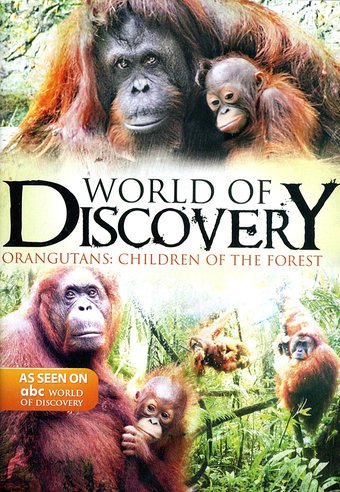ABC World of Discovery: Orangutans - Children of