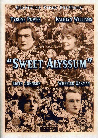 Sweet Alyssum (Silent)