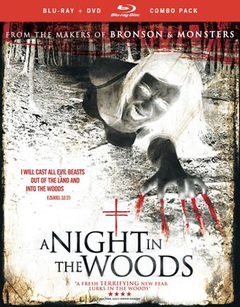 Night In The Woods (Blu-ray)