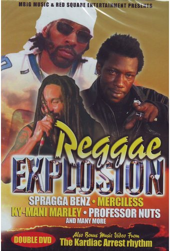 Reggae Explosion (2-DVD)