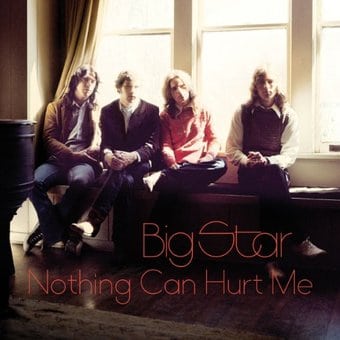 Nothing Can Hurt Me (2-LPs)