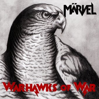 Warhawks Of War (Damaged Cover)