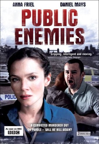 Public Enemies