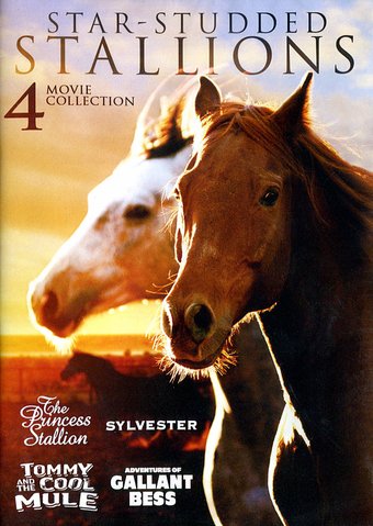 Star-Studded Stallions: 4 Heartwarming Horse