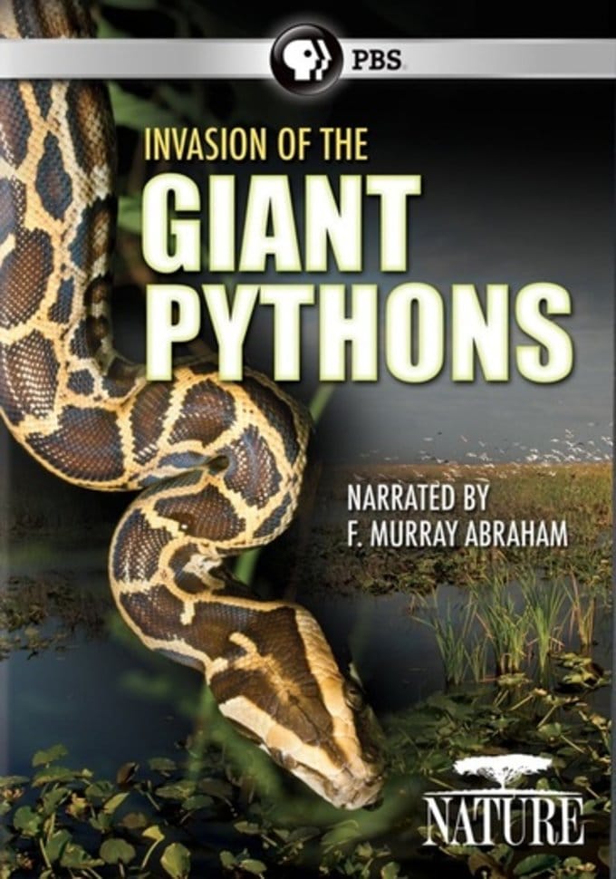 Nature: Invasion of the Giant Pythons DVD (2010) - Pbs | OLDIES.com